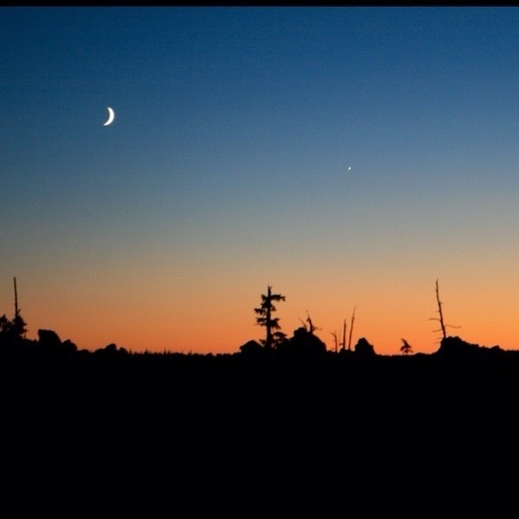 Meet your Posher, Tish - Picture 12 of 16